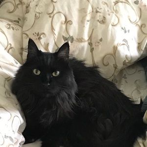 Meet your Posher, Marlene